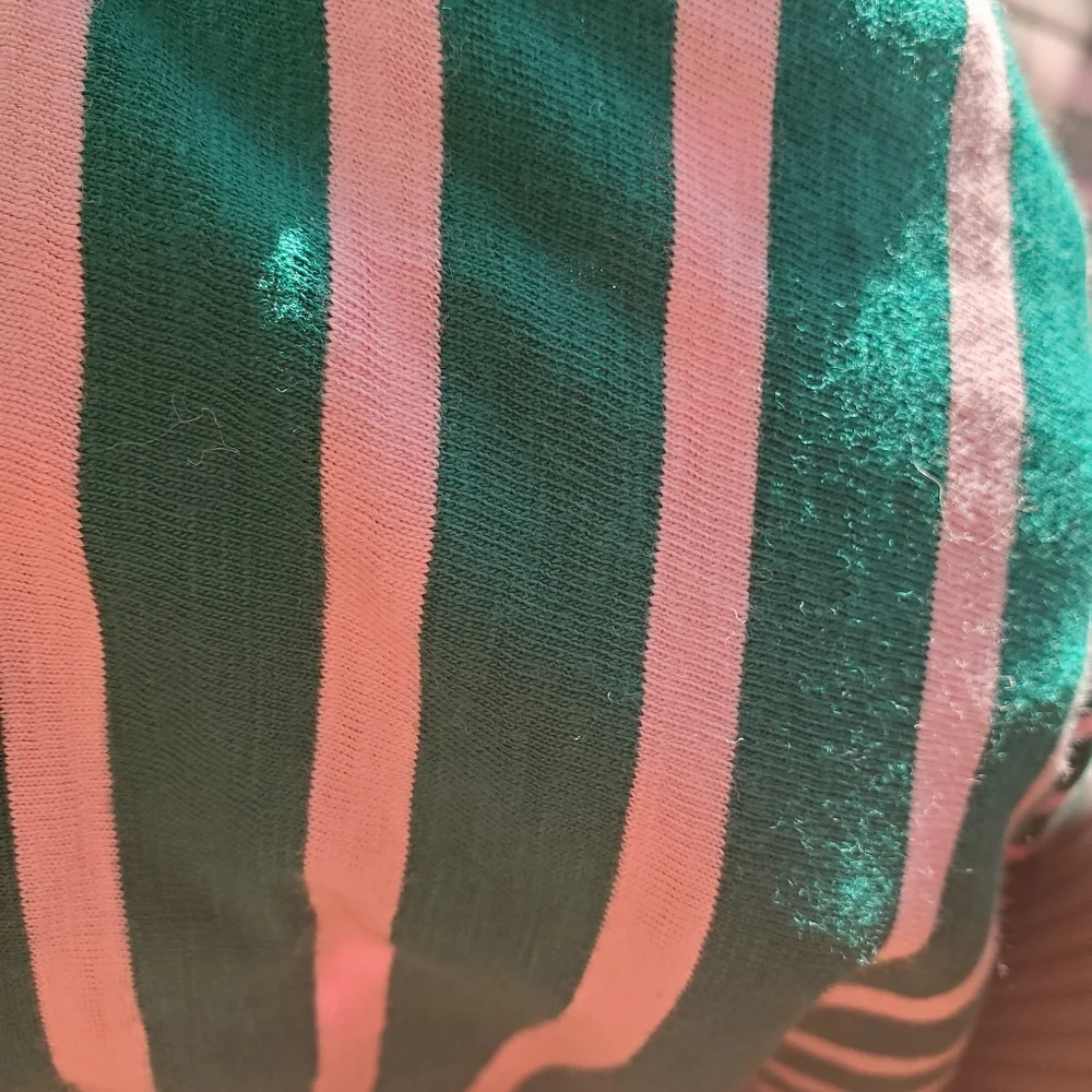 J. Crew Green & Pink Striped Top